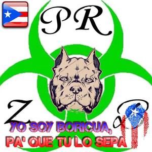 Meet your Posher, Del valle